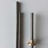 SUS304 Tr8*2 or Tr8*4 Lead Screw