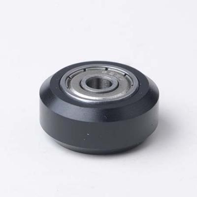 Delrin BiGuide Bearing