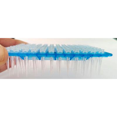 Steriled Laboratory Pipette Tips 10ul 20ul 100ul 200ul Pack of 50 Racks